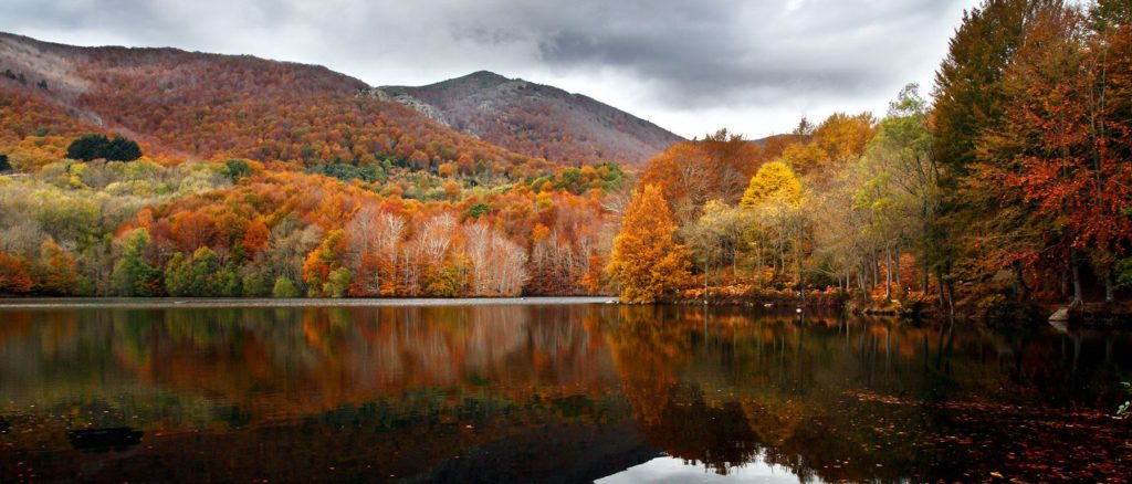 Natuurpark Montseny