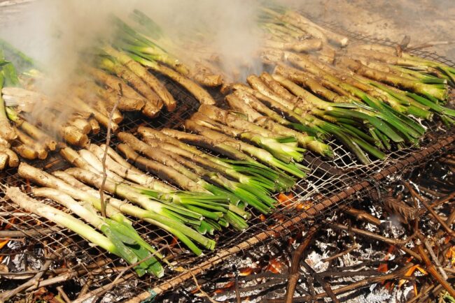 Calçotada_Alegre Import.nl Calçotada