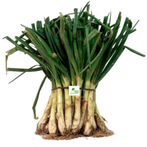 Bundel calçots uit Valls | Vegan [lente] ui Catalunya