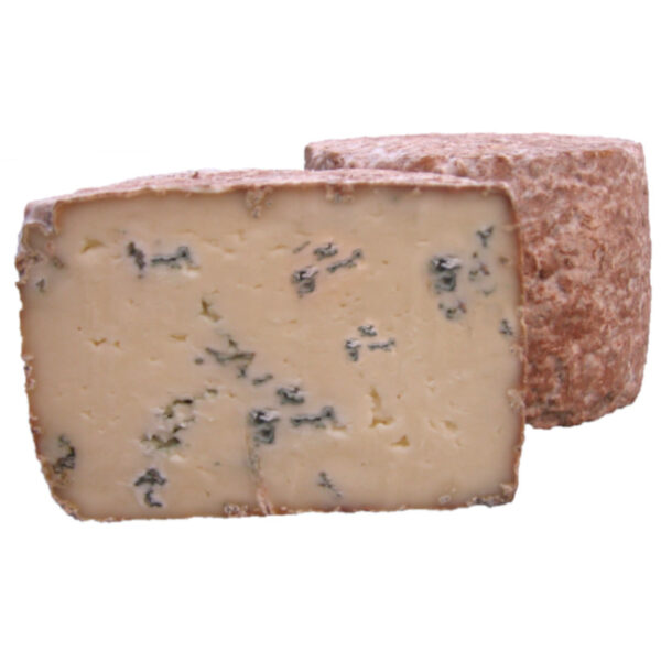 Catalaanse blauwe schapenkaas waaraan de schimmel Penicillium Roqueforti is toegevoegd