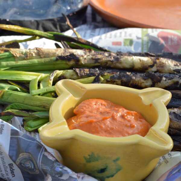 Een calçotada met in de hoofdrol Calçots geserveerd op een dakpan en in kranten gewikkeld en met Romesco saus geserveeerdin een traditionele Catalaanse mortero_in Nederland te koop bij Alegre Import Alegre Import