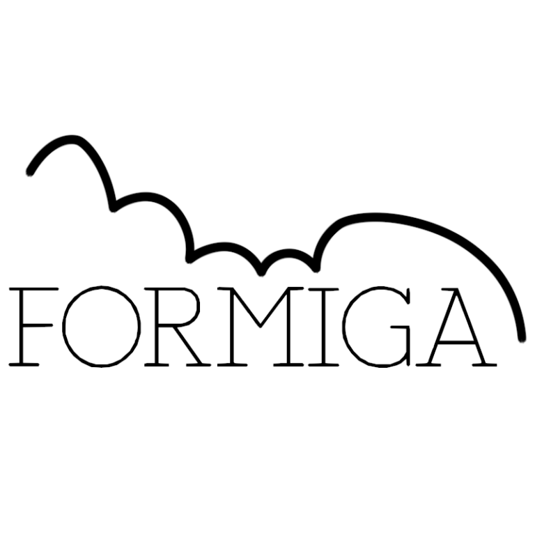 Logo Formiga Webdesign vierkant