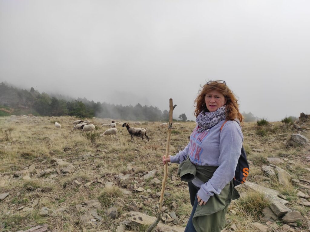 Wandeling in het Montseny-gebergte